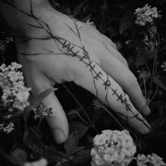withering