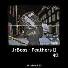 JrBoss - Feathers