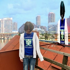 Miami (prod. pradaaslife)