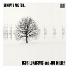 Sundays are for... Igor Lukacevic and Joe Miller