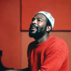 [Preview] Marvin Gaye - Sexual Healing (Danny White Remix)