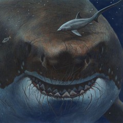 Megalodon