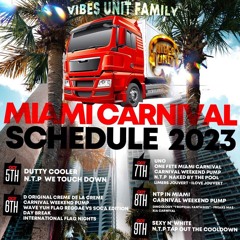 VIBES UNIT COMING HOME MIAMI 2023 FT DJ NAUGHTY VYBZ & FREAKS MAS
