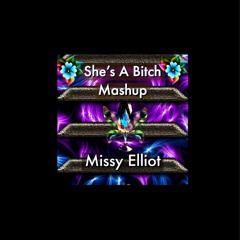 She's A Bitch Mashup - Missy Elliot