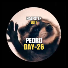 Jaxomy x Agatino Romero ft. Raffaella Carrà X Bassjackers, Steve Aoki - Pedro Flashing Lights (HALFSTEP Edit)