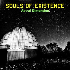 TH335 Souls Of Existence Spiritual Ritual (Original Mix)