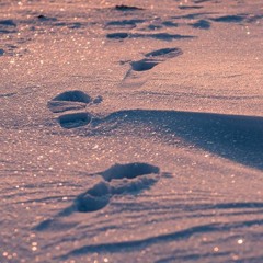 바스러지는 눈의 날개를 꺾어 허공에 얼굴을 대고