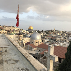 زهرة المدائن