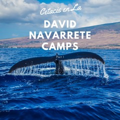 Cetacis en La, part 1