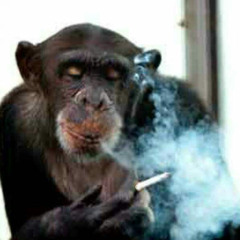 si q lo leo ft naguekeepmovin