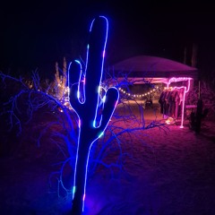 ASTRADANZA Winter Solstice [Opening] - Arrival at Cactimar
