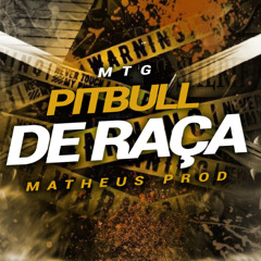 MTG PITBULL DE RAÇA - MATHEUS PROD