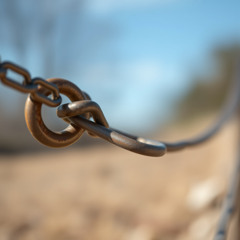 Swivel