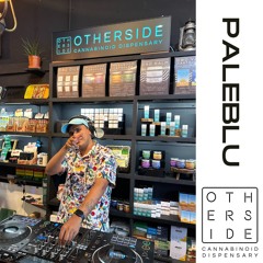 Paleblu - Live @ Otherside