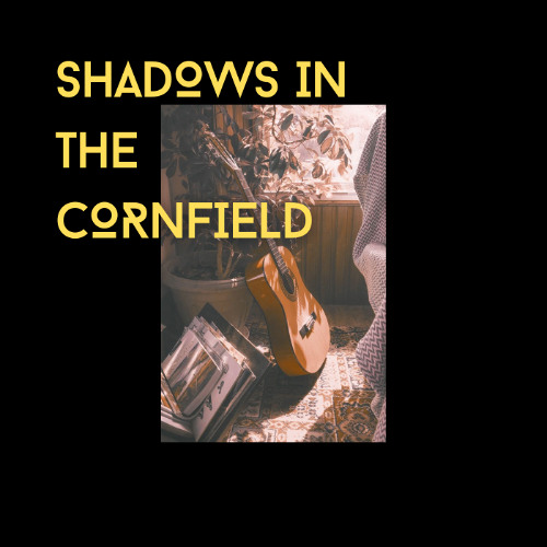 Shadows in the Cornfield