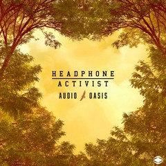 Headphone Activist - Foggy Morning