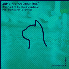 Zehv - Are We Dreaming [PURRFECTION]