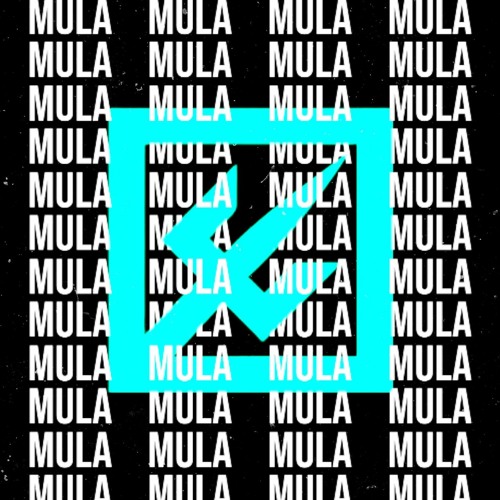 Mula (kneptunes Flip)