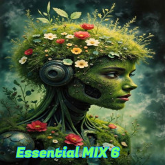 Essential MIX 6