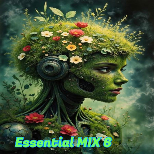 Essential MIX 6