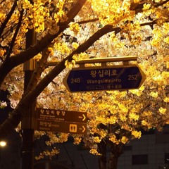 12am in Wangsimni