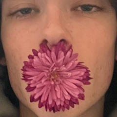 i bloom