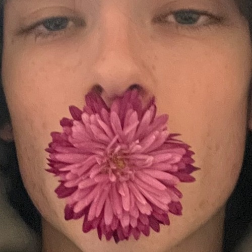 i bloom