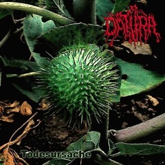 Datura-Cause of Death (Obituary Cover).mp3