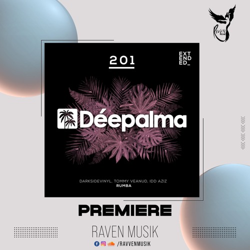 PREMIERE: Darksidevinyl, Tommy Veanud & Idd Aziz - Rumba [Déepalma Records]