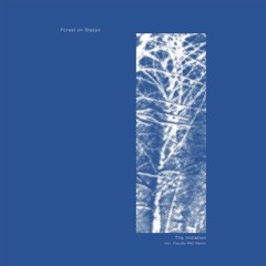 PREMIERE : Forest On Stasys - Sacred Stones [Danza Nativa]