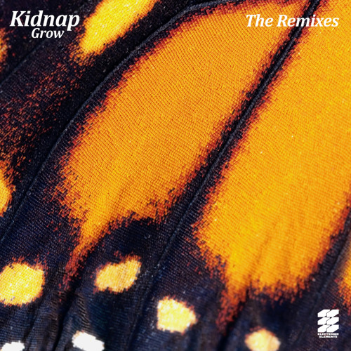 Kidnap feat. Leo Stannard - Moments (1979 Remix)