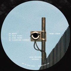 PREMIERE Mawn Lower — Fine Print (Vosk Records)