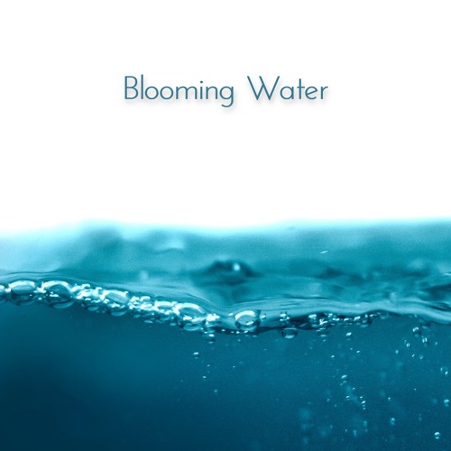 Bliss Looper - Blooming Water