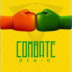 Aldair Playboy & MC WM - Combate (Shiny Stone Remix)