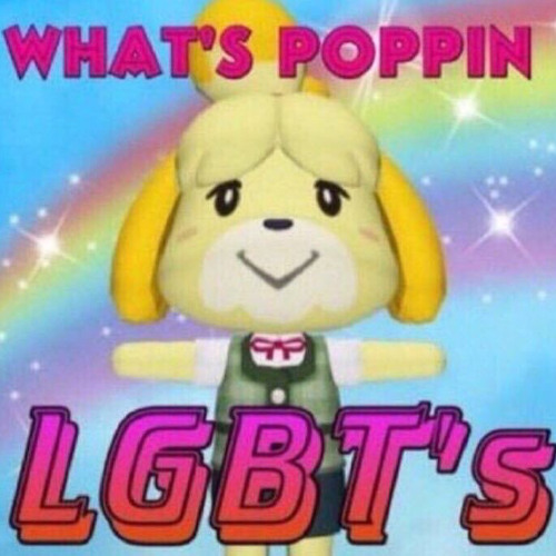 georgia - phoebe bridgers (live)