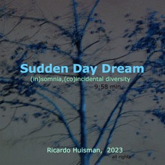 Sudden Daydream, (in)somnia (co)incidental diversity, Ricardo Huisman, 2023