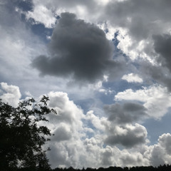 Simon Bach - All the Times (feat. Immanul Bach)