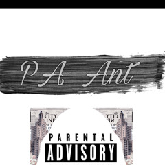 PA Ant - Real