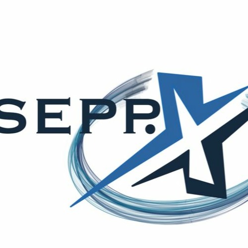 Vibes By Sepp.X