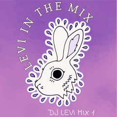 LEVI IN THE MIX.1