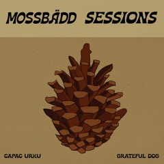 Grateful Dog - Minns Mossbädd