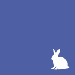 Падаем(feat. Білий Кролик) - White Rabbit