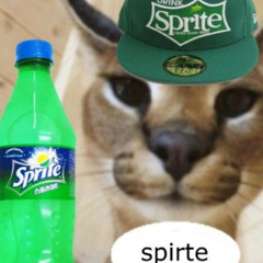 metade humano metade sprite