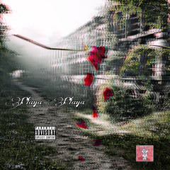 Almighty Rezaveli - Playa Playa🌹(Prod. LethalNeedle) w/ BigGnospace