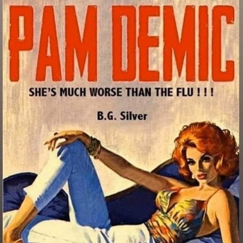late.nite.pam.demic.she's.gone.identity