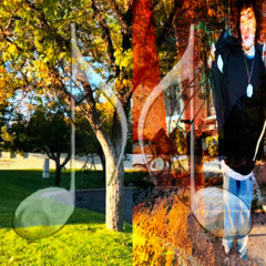 waste my life w/elyzn (okmax)