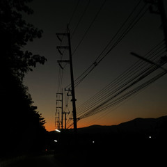 เรือลำน้อย (cover) - MD