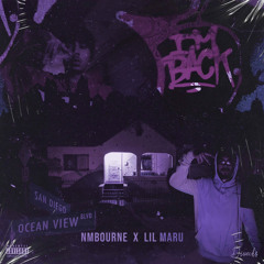 Im Back ft Lil Maru (prod. YTG)