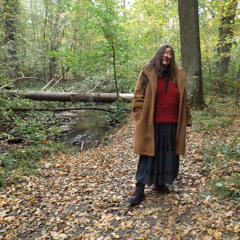 in the woods