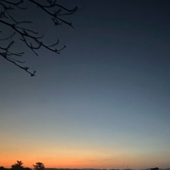 表と裏